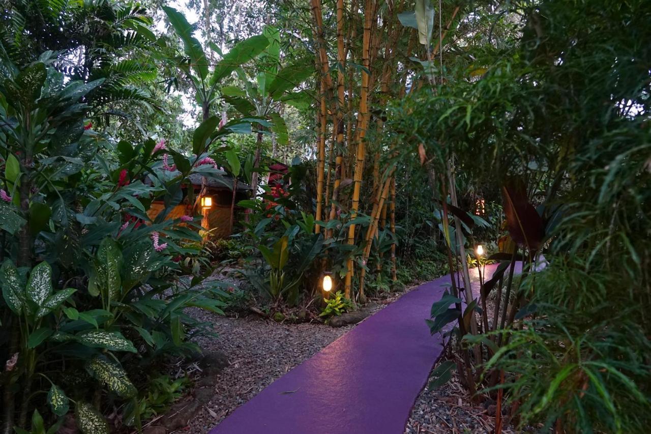 Dos Casitas Villa โอเฆชาล ภายนอก รูปภาพ