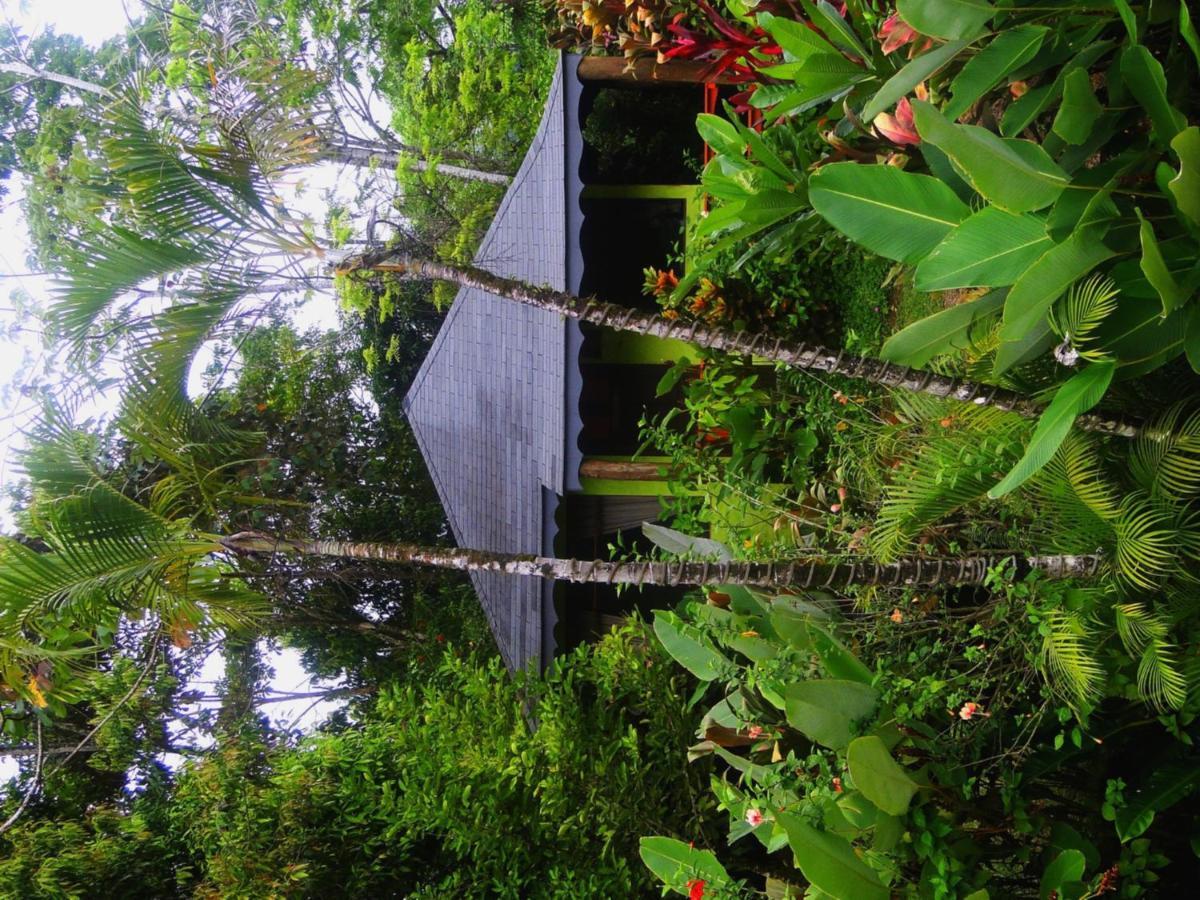 Dos Casitas Villa โอเฆชาล ภายนอก รูปภาพ