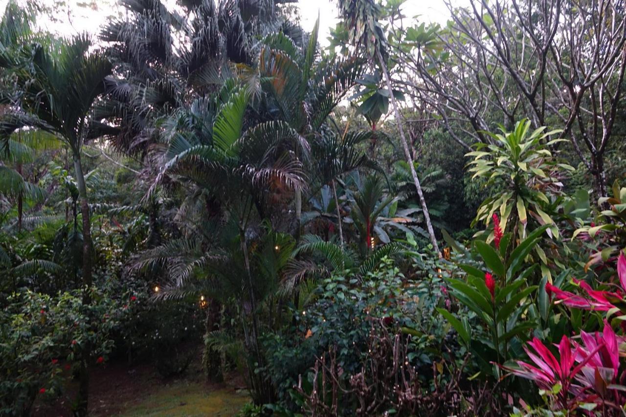 Dos Casitas Villa โอเฆชาล ภายนอก รูปภาพ
